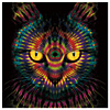 SINGLE「Playear」(Regular Edition)